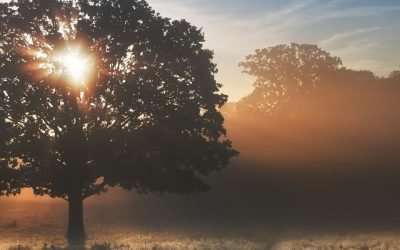 Becoming an interculturalist doesn’t happen overnight