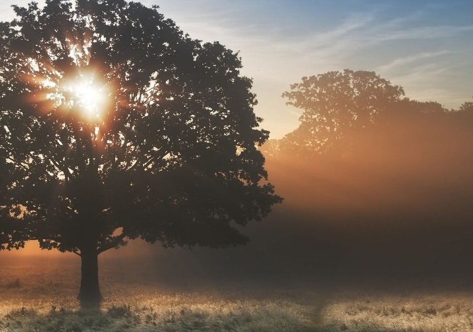 Becoming an interculturalist doesn’t happen overnight